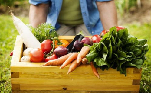 不被限制的孩子，饮食更自律 日用百货中的教育智慧
