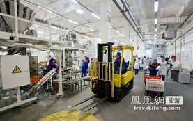 严寒之地的暖意馈赠 探秘西伯利亚美食工厂的幕后故事